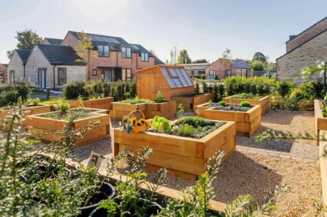 Gardening area with raised beds and potting shed